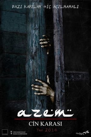 Azem: Cin Karasi (2014) Hindi Dual Audio [570MB]